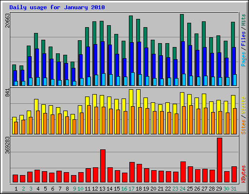 Daily usage for January 2010